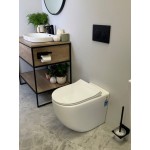 Raul 99 Rimless Floor-mount Toilet Pan Only Raul 99 Rimless Floor-mount Toilet Pan Only